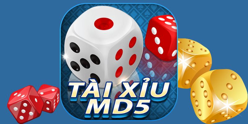 Giới thiệu Tài Xỉu MD5